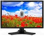 NEC LCD2490W2-BK-SV 24" 1920x1200 0Hz IPS Monitor image