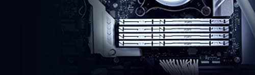 Kingston FURY Beast White DDR5-5600 CL40 128GB (4x32GB) image