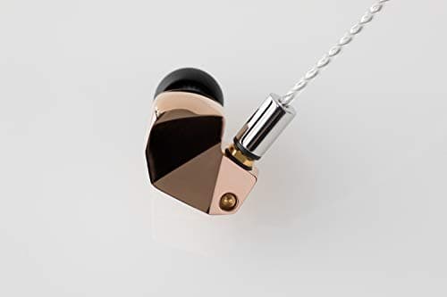 Final B1 Closed-Back In-Ear Headphones in Copper / Black image