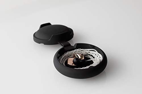 Final B1 Closed-Back In-Ear Headphones in Copper / Black image