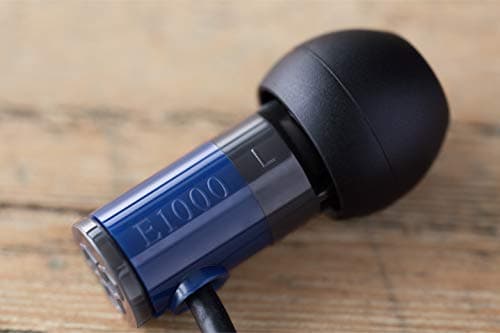 Final E1000 Closed Earbuds image