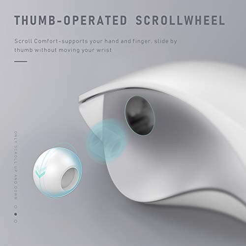 Bluetooth Mouse, Jelly Comb Rechargeable 2.4GHz Bluetooth Ergonomic Wireless Mouse (BT4.0+BT4.0+2.4G) Switch to 3 Devices for Mac OS MacBook Air Windows PC Android Tablet-(White and Silver) image