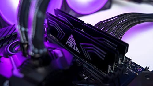 Neo Forza FAYE Black / Silver DDR4-5000 CL19 16GB (2x8GB) image