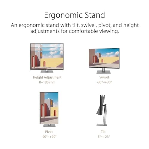 Asus ProArt Display PA24ACRV 23.8" 1440p 75Hz IPS Monitor image