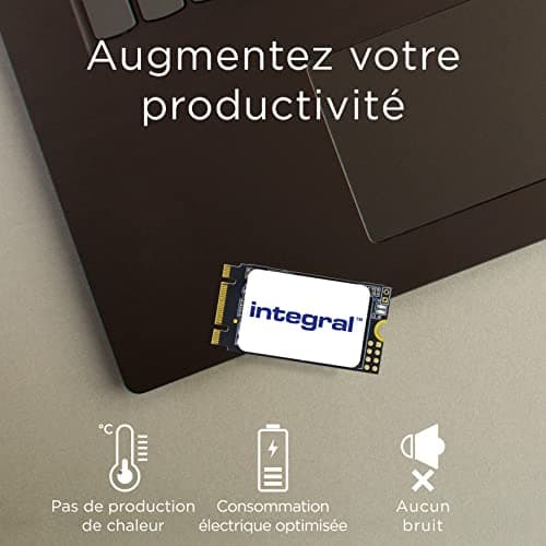 Integral INSSD256GM242 256GB SSD M.2-2242 SATA image