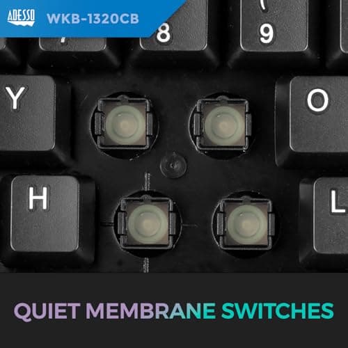 Adesso WKB-1320CB Wireless Standard Keyboard With Optical Mouse image