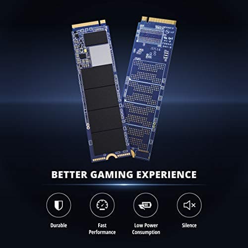 Pioneer APS-SE20G-256 256GB SSD M.2-2280 PCIe 3.0 x4 NVMe image