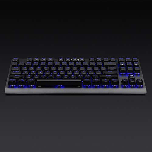 EagleTec KG040 Mechanical Gaming Keyboard Illuminated Blue Switches Cherry MX Equivalent Compact Keyboard Tenkeyless with 87 Keys for Windows PC Gamers (Blue LED Backlit) image