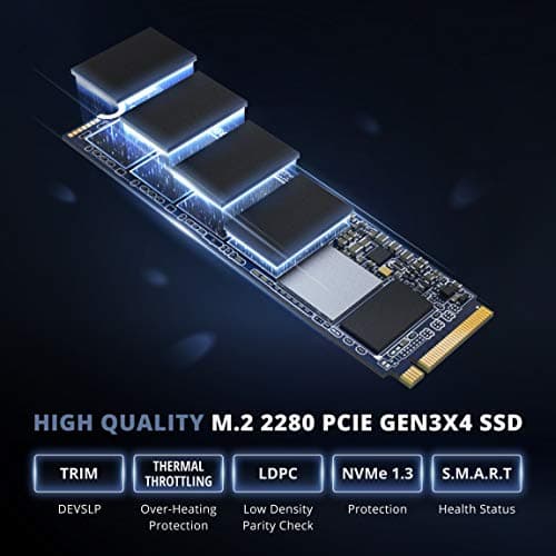 Pioneer APS-SE20G-256 256GB SSD M.2-2280 PCIe 3.0 x4 NVMe image