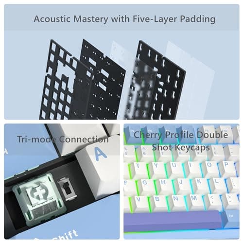 Womier SK75 RGB Wired/Wireless/Bluetooth Mini Womier Mint Blizzard Linear Mechanical Gaming Keyboard image