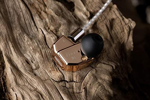 Final B1 Closed-Back In-Ear Headphones in Copper / Black image