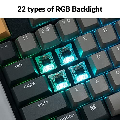 Keychron C2 Pro V1 RGB Hotswap Wired Mechanical Gaming Keyboard with Keychron K Pro Brown Switches image