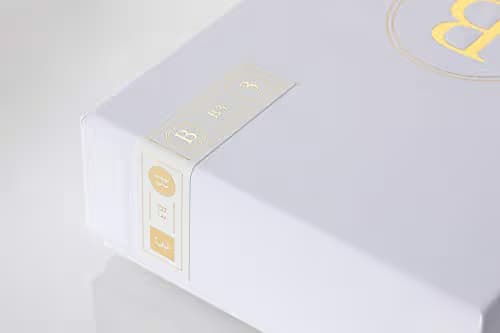 Final B3 In Ear image