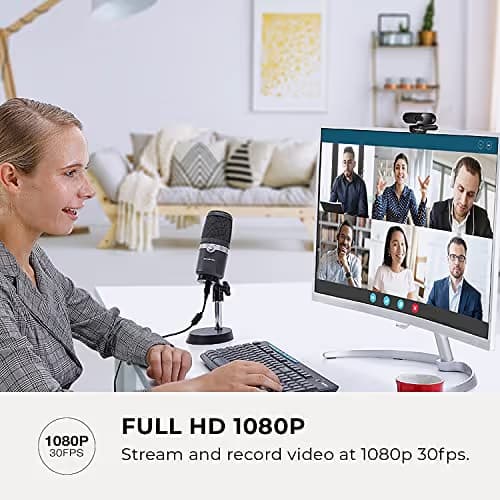 Avermedia PW310P 1080p Webcam image