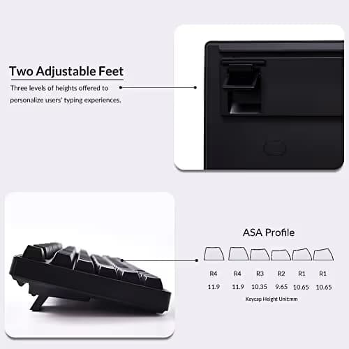 Akko 5087S Shine-Through RGB Wired Standard Mechanical Gaming Keyboard with Akko CS Jelly Purple Tactile Switches image