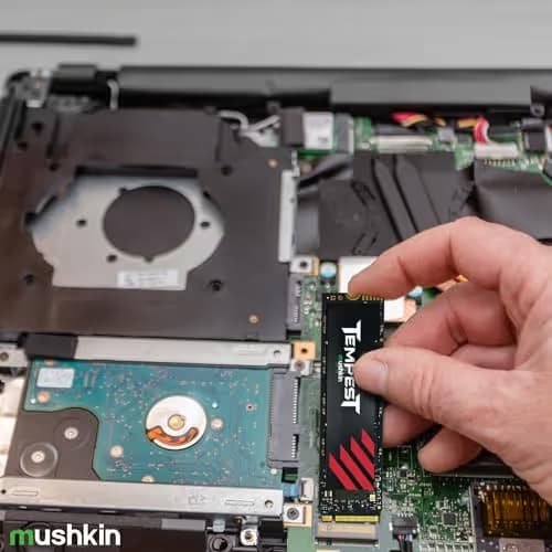 Mushkin Tempest 256GB M.2-2280 SSD PCIe 3.0 X4 NVMe image