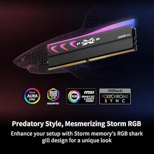 Silicon Power XPOWER Storm RGB Gold DDR5-6000 CL38 64GB (2x32GB) image