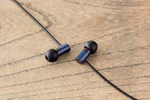 Final E1000 Closed Earbuds image