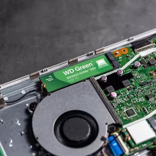 Western Digital WD Green SN3000 1TB SSD M.2-2280 PCIe 4.0 x4 NVMe image