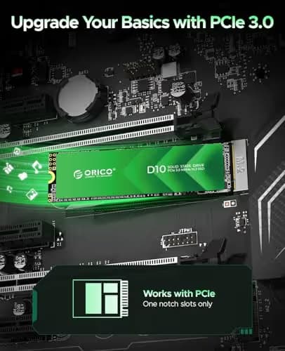 Orico D10 256GB SSD M.2-2280 PCIe 3.0 X4 NVMe image