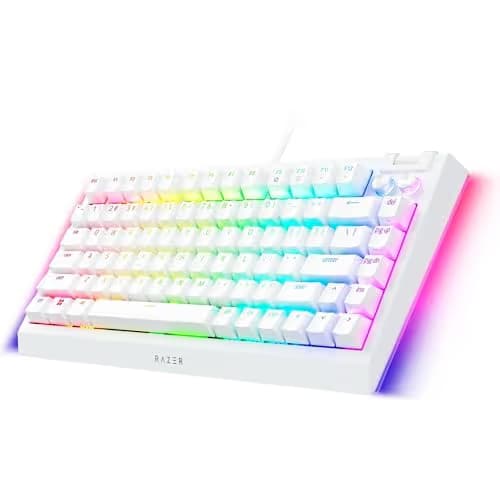 Razer BlackWidow V4 75% RGB Wired Mechanical Gaming Keyboard image