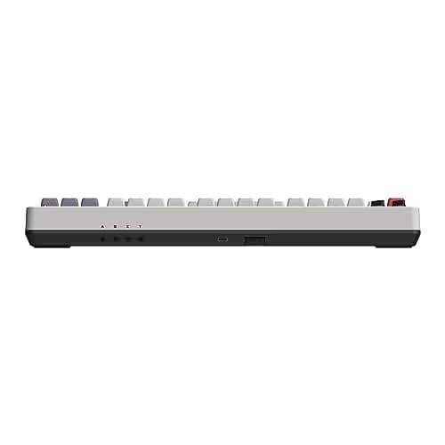 8BitDo Retro N Wired/Bluetooth/Wireless Gaming Keyboard image