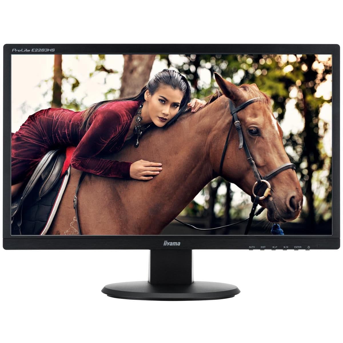 iiyama Prolite E2283HS-B1 22" 1080p 60Hz TN Monitor main image