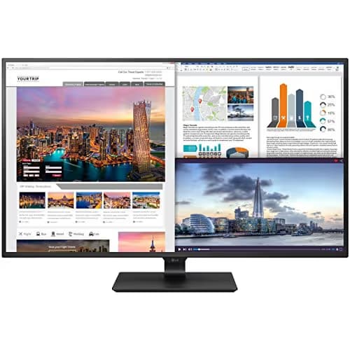 LG 43UD79-B 42.5" 4K 60Hz IPS Monitor image