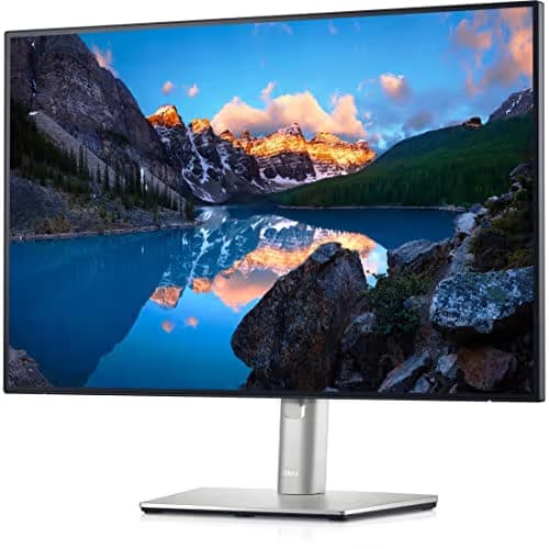 Dell U2421E 24.1" 1920x1200 60Hz IPS Monitor image