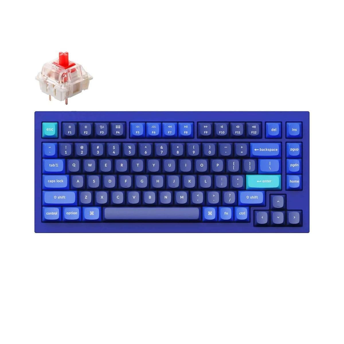Keychron Q1 QMK V2 Mini Gateron G Pro Red Wired Mechanical Gaming Keyboard main image