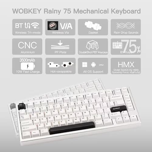 KEEBMONKEY WOBKEY Rainy 75 CNC Aluminum HMX/JWK/Cocoa Switches Triple-Mode Connectivity Mechanical Keyboard with Superior Acoustics, RGB/PP/Mirrored Glass/3500mAh/Violet Switch (Standard - Silver) image