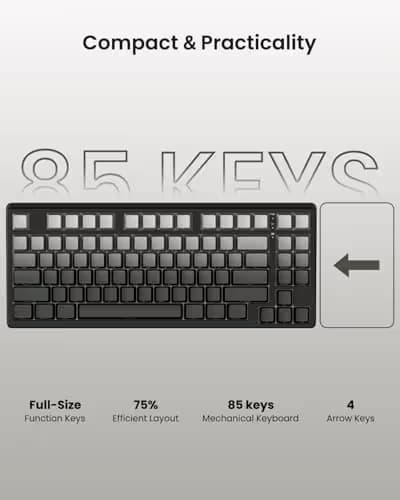Kisnt KN85 Wireless Mechanical Gaming Keyboard, 75% Layout with RGB Backlit, Custom Hot Swappable, Creamy Sound, Bluetooth/2.4GHz/USB-C Compatible with Windows/Mac/PC(Gradient Gray, Side Printed) image