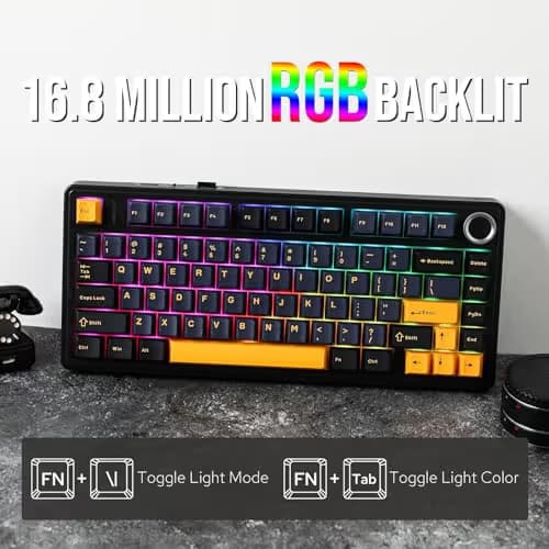 EPOMAKER x Aula F75 Gasket Mechanical Keyboard, 75% Wireless Hot Swappable Gaming Keyboard with Five-Layer Padding&Knob, BT/2.4GHz/USB-C, RGB (Black, LEOBOG Reaper Switch) image