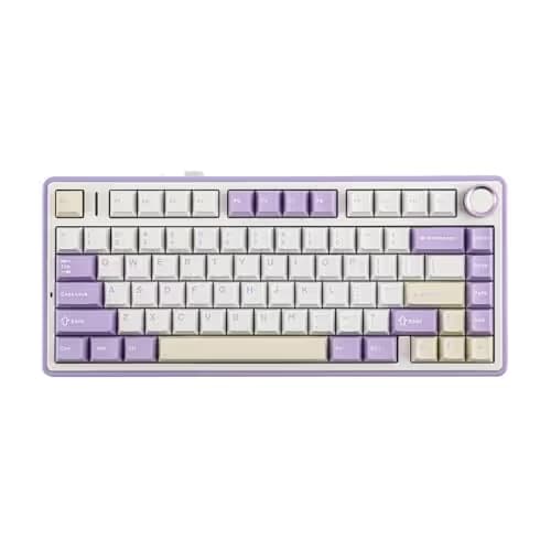 EPOMAKER x Aula F75 Gasket Mechanical Keyboard, 75% Wireless Hot Swappable Gaming Keyboard with Five-Layer Padding&Knob, BT/2.4GHz/USB-C, RGB (Purple, LEOBOG Reaper Switch) image