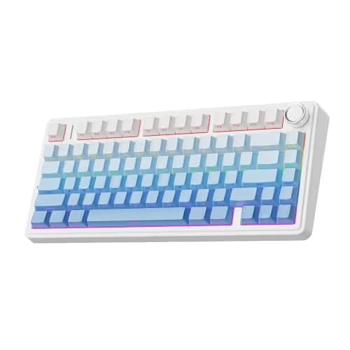 EPOMAKER x Aula F75 Gasket Mechanical Keyboard, 75% Wireless Hot Swappable Gaming Keyboard with Five-Layer Padding&Knob, BT/2.4GHz/USB-C, RGB (Blue Gradient, LEOBOG Reaper Switch) main image