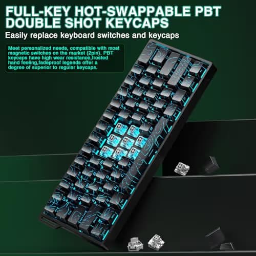 Aula WIN60 HE - 60% Mechanical Gaming Keyboard Wired, Hall Effect Magnetic Switch Hot Swappable, Adjustable Actuation RT Mode, 8000 Hz Polling Rate, RGB Keyboard 60 Percent Compact Design for PC image