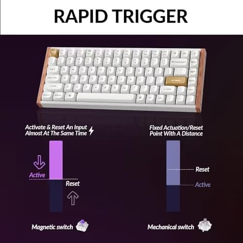 Keychron K2 HE Rapid Trigger Wireless Custom Keyboard with Hall Effect Gateron Double-Rail Magnetic Switch, 2.4 GHz QMK Bluetooth 5.2 RGB Compatible with Mac Windows Linux (Aluminum + Wood) image