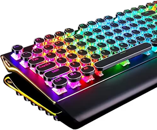 RK ROYAL KLUDGE S108 Typewriter Mechanical Keyboard, Full RGB Gaming Keyboard, Wired PC Game Keyboards with Number Pad and Detachable Wrist Rest, Retro Round Keycaps, Brown Switches Black main image