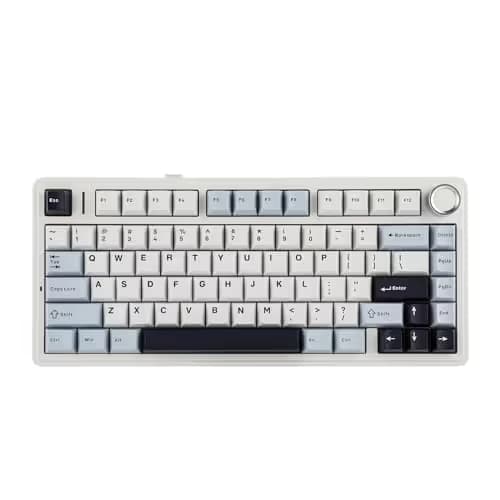 EPOMAKER x Aula F75 Gasket Mechanical Keyboard, 75% Wireless Hot Swappable Gaming Keyboard with Five-Layer Padding&Knob, BT/2.4GHz/USB-C, RGB (Light Blue, LEOBOG Reaper Switch) main image