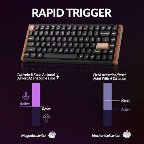 Keychron K2 HE Rapid Trigger Wireless Custom Keyboard with Hall Effect Gateron Double-Rail Magnetic Switch, QMK 2.4 GHz Bluetooth 5.2 RGB Compatible with Mac Windows Linux (Aluminum + Wood) image