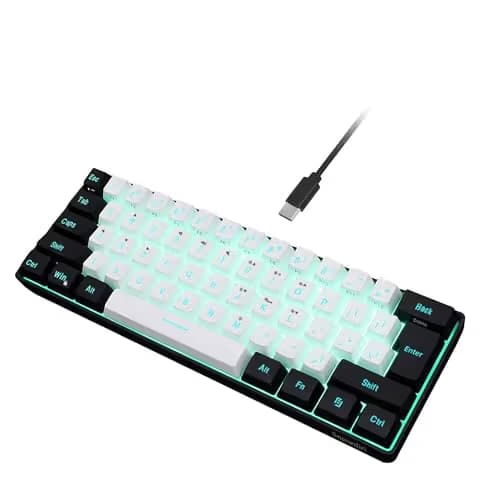 Snpurdiri 60% Wired Gaming Keyboard, 61 Keys RGB Backlit Ultra-Compact Small Gaming Keyboard, for PC/Mac Gamer, Typist, Travel, Easy to Carry on Business Trip(Black-White) main image