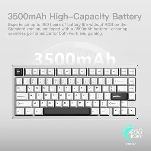 KEEBMONKEY WOBKEY Rainy 75 CNC Aluminum HMX/JWK/Cocoa Switches Triple-Mode Connectivity Mechanical Keyboard with Superior Acoustics, No RGB/PP/Mirrored Glass/3500mAh/Violet Switch (Lite - Silver) image