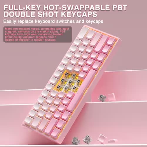 Aula WIN60 HE - 60% Mechanical Gaming Keyboard Wired, Hall Effect Magnetic Switch Hot Swappable,8000 Hz Polling Rate, RGB Keyboard 60 Percent Compact Design for PC (Gradient Pink) image