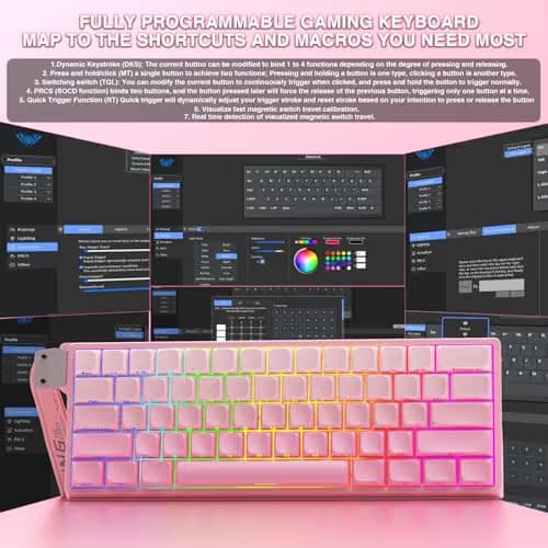 Aula WIN60 HE - 60% Mechanical Gaming Keyboard Wired, Hall Effect Magnetic Switch Hot Swappable,8000 Hz Polling Rate, RGB Keyboard 60 Percent Compact Design for PC (Gradient Pink) image