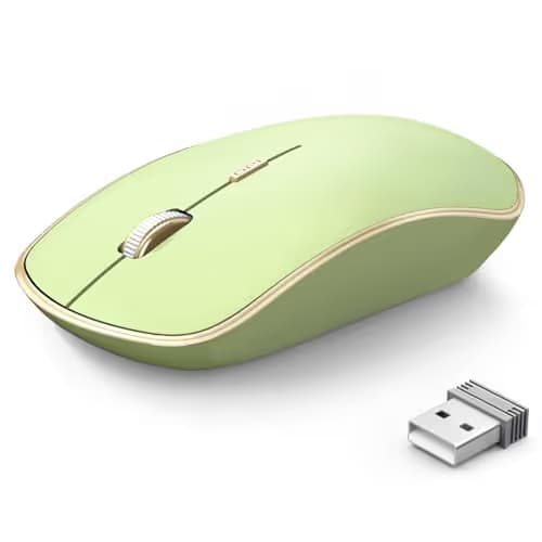 JOYACCESS J 2.4G Slim Wireless Silent Mouse - Portable Wireless Computer Mouse with 5 Adjustable DPI Levels, USB for Desktop, Notebook, MacBook, Chromebook, PC (Light Green) image