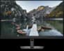 Dell UltraSharp 32 4K QD-OLED Monitor - U3226Q image