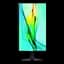 Samsung 24-Inch QHD ViewFinity S6 S60D Monitor image