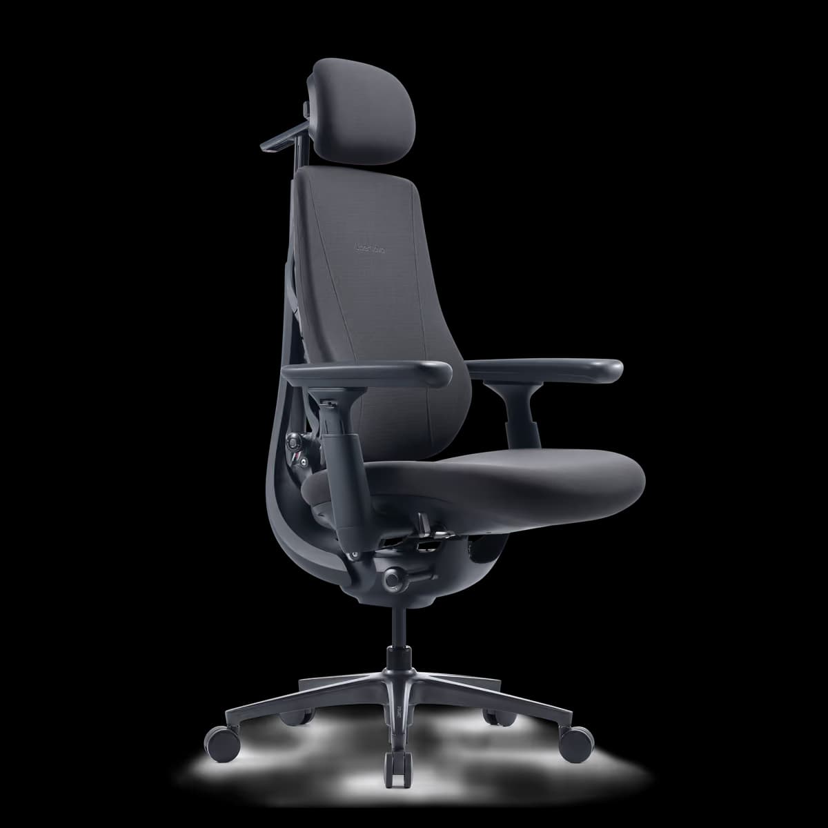 LiberNovo Maxis Manual Graphite Ergonomic Chair image