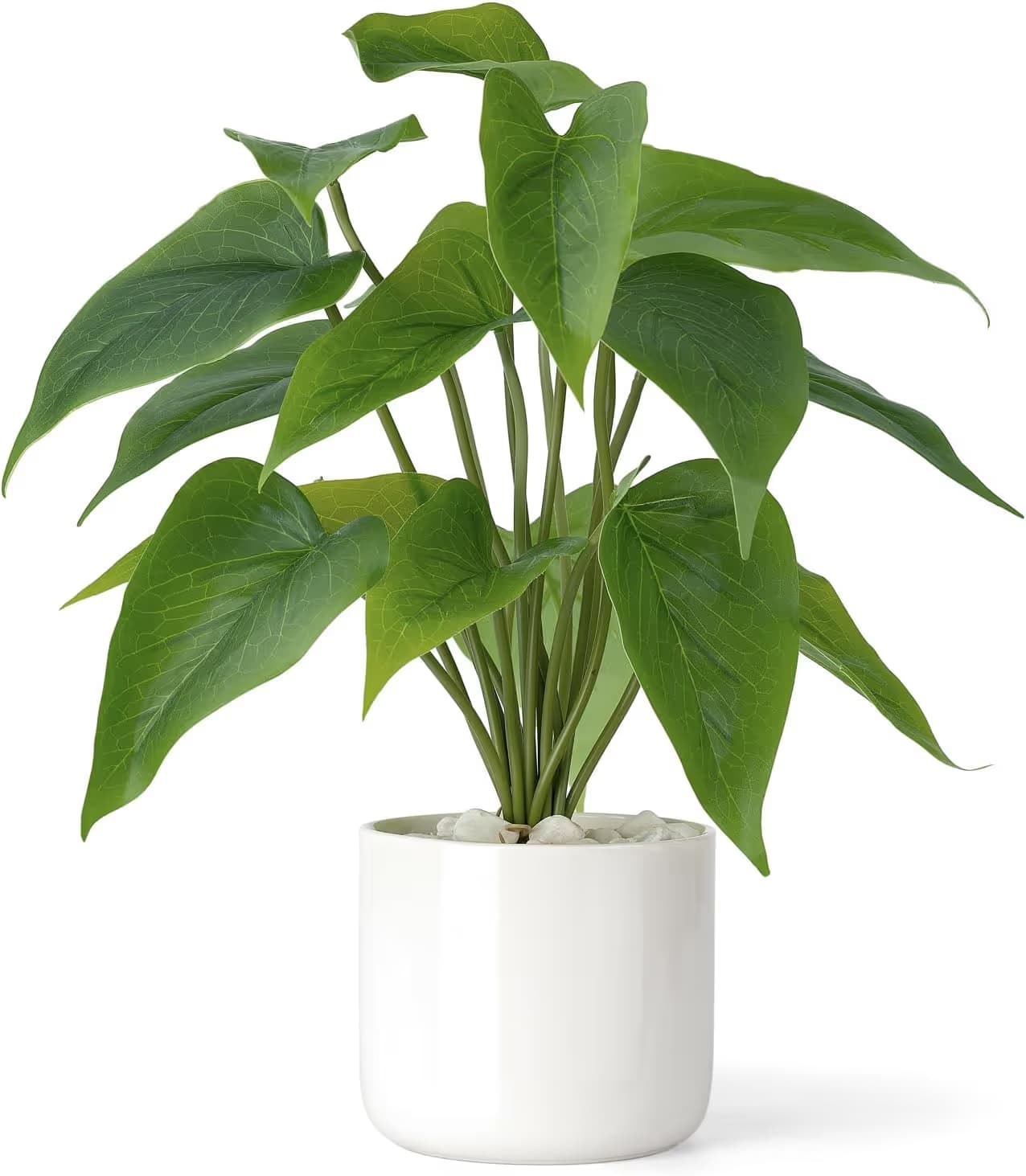 Mkono 11-inch Artificial Pothos in White Ceramic Pot image