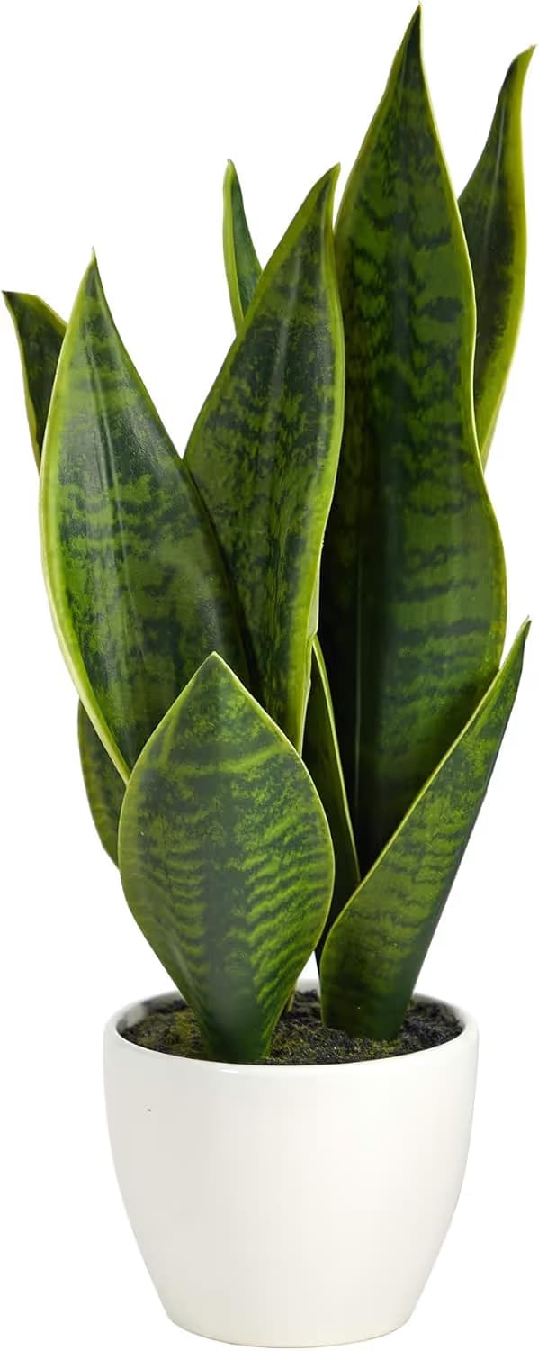 Nearly Natural P1650 16-inch Sansevieria Artificial Plant in White Planter image